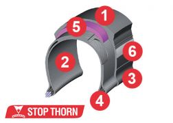 450x231_stop_thorn.jpg